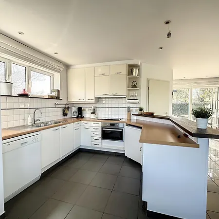 Schildknaap Ref 50 *