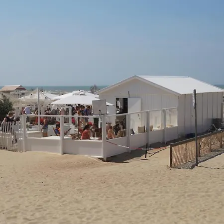 Schildknaap Ref 50 Koksijde