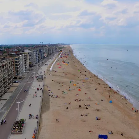 Schildknaap Ref 50 Koksijde