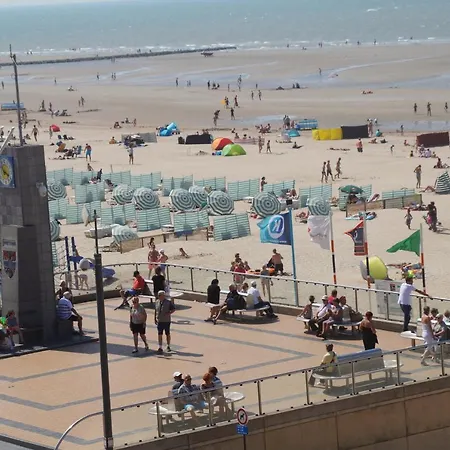 Schildknaap Ref 50 Koksijde