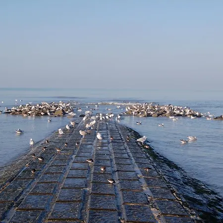 Schildknaap Ref 50 Villa Koksijde