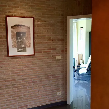 Schildknaap Ref 50 *