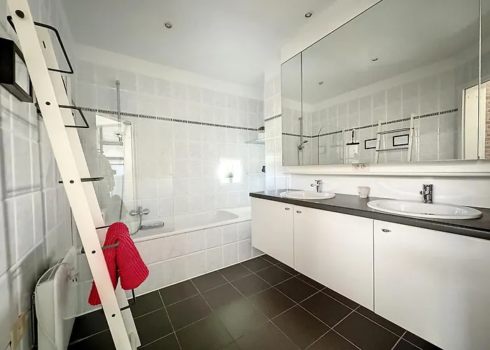 Schildknaap Ref 50 *