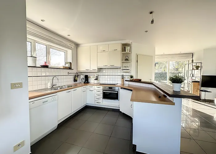 Schildknaap Ref 50 *