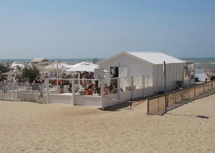 Schildknaap Ref 50 Koksijde