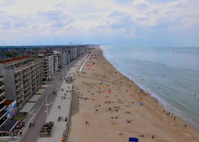 Schildknaap Ref 50 Koksijde