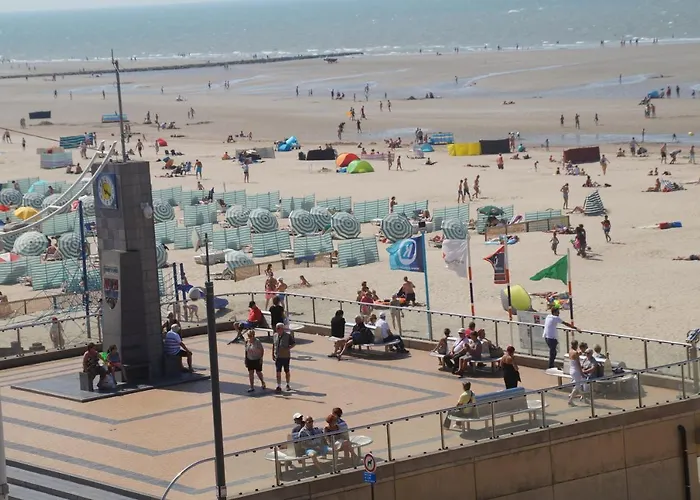 Schildknaap Ref 50 Koksijde