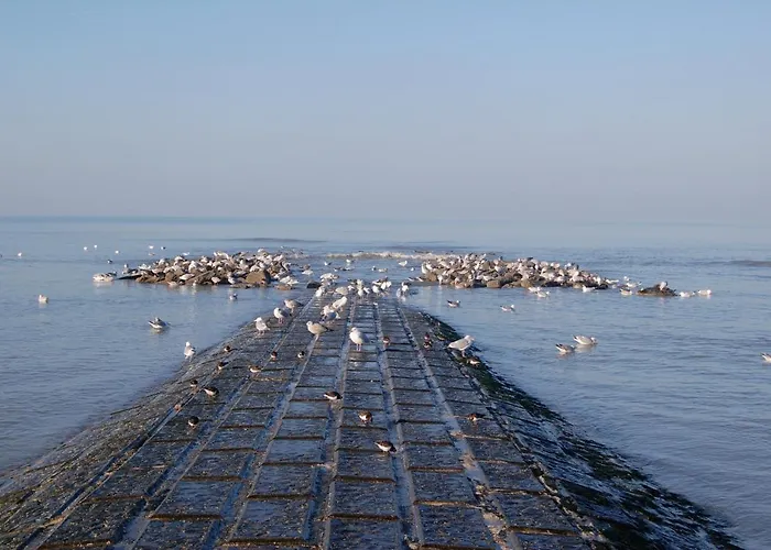 Schildknaap Ref 50 Βίλα Koksijde